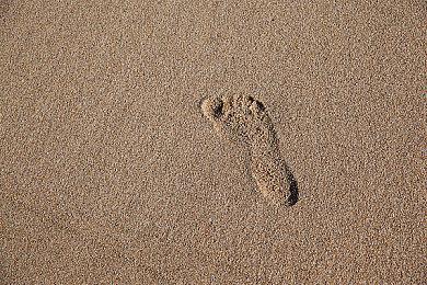 无双新作《刀剑乱舞无双》公布 登陆PC和Switch